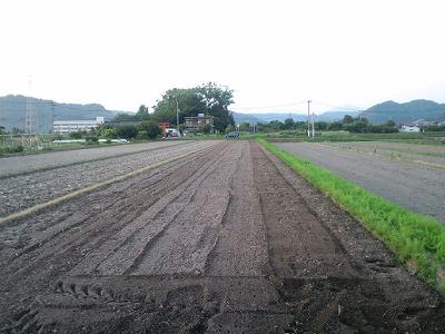 CA3C0030-w400.jpg