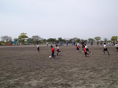 PAP_0043-w400.jpg